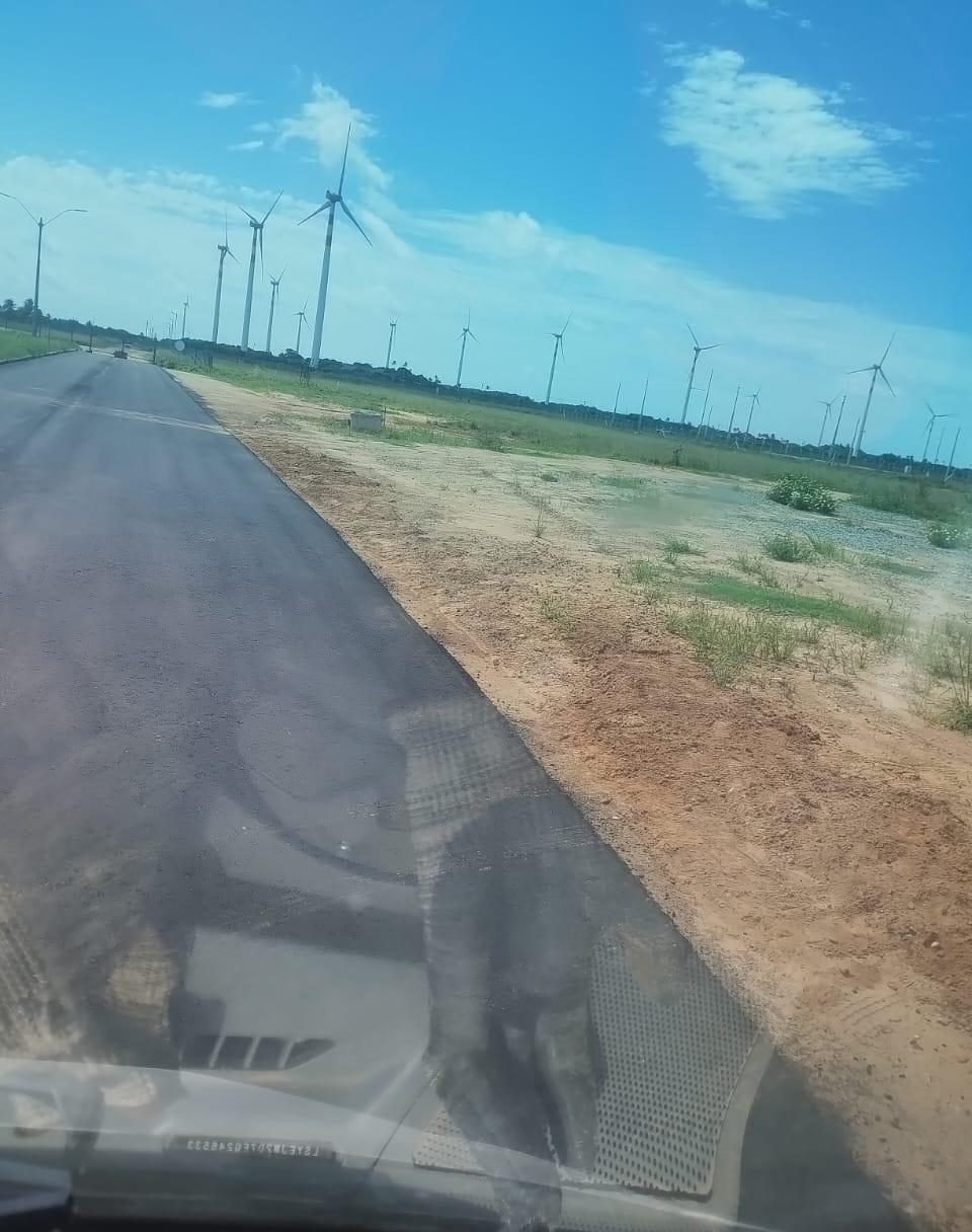 Infraestrutura em parque eólico